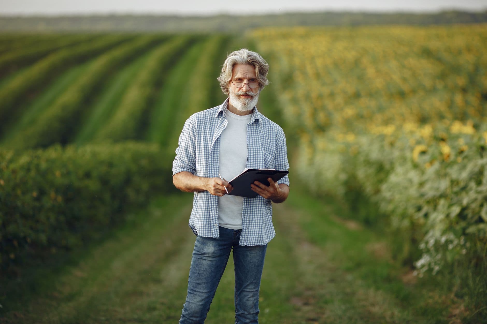 Farmer standing in a crop field checking financial data on a tablet